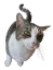 :mousereally: