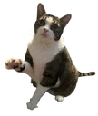 <:mousewave:1147352741098831882>