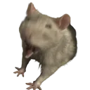savagerat