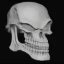 skull skull