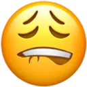 emoji_127