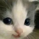 SmileCat