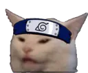 meme