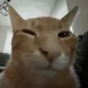 buh