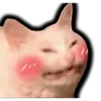 fennek7Smilecat