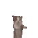 Z_YeppieCatDance Z_YeppieCatDance