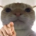 CATPOINT