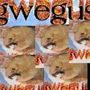 gwegus