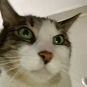 UguDbRO