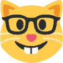 nerdcat_void