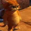K_gatogordo