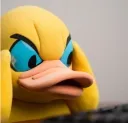 angryduck angryduck