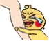 Z_Poinco_Cry