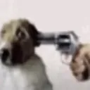 anguish