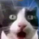 WOH