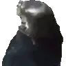 seal_spin