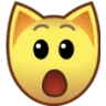 00000_catflabbergasted Discord Emoji