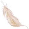 a_feather