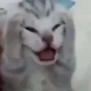 mk