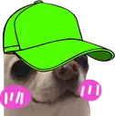esoGggshy_green