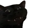 cate