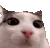 plink