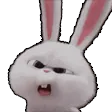 snowballhuh