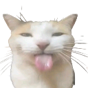blehhcat Discord emoji