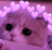 cat_uwu Discord emoji