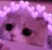 cat_uwu cat_uwu