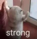 HGstrong HGstrong