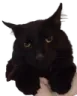 salem