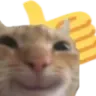 catthumbsup