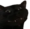 cate cate
