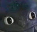 wut