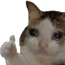 sadcatthumb