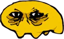 Pls