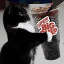 catgulp