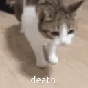 catdeath