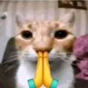 gato_amem_FemboySlut