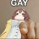 gaay