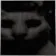 uncannycat