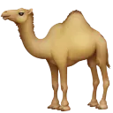 ES_Camello