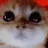 Angy_Kitty