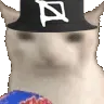Bart_NoPat