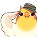 birbsalute