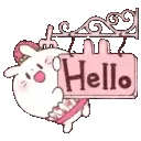 bunnyhello