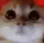 grr