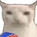 catoeatchips
