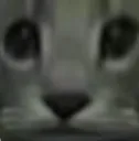 closeca1 closeca1